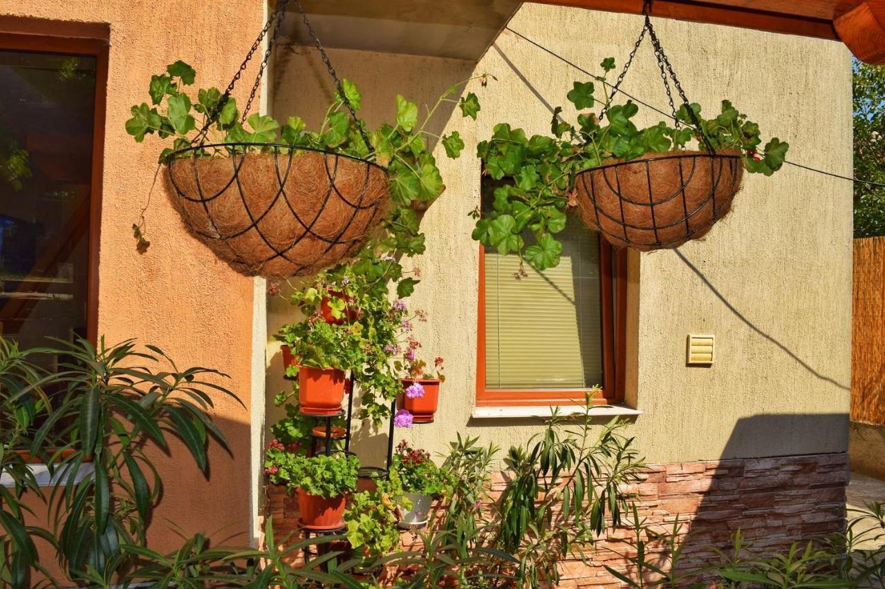 Tatyana Guest House 비알라 외부 사진